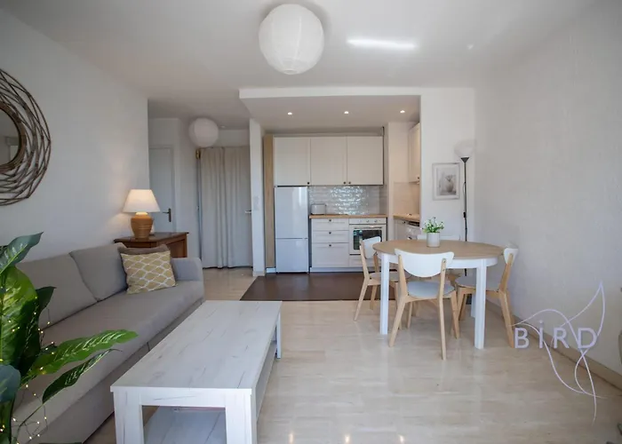 Bright Pied-a-terre Wilsonantibes Apartment