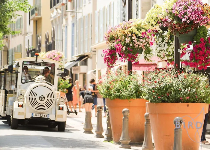 Bright Pied-a-terre Wilsonantibes * Antibes